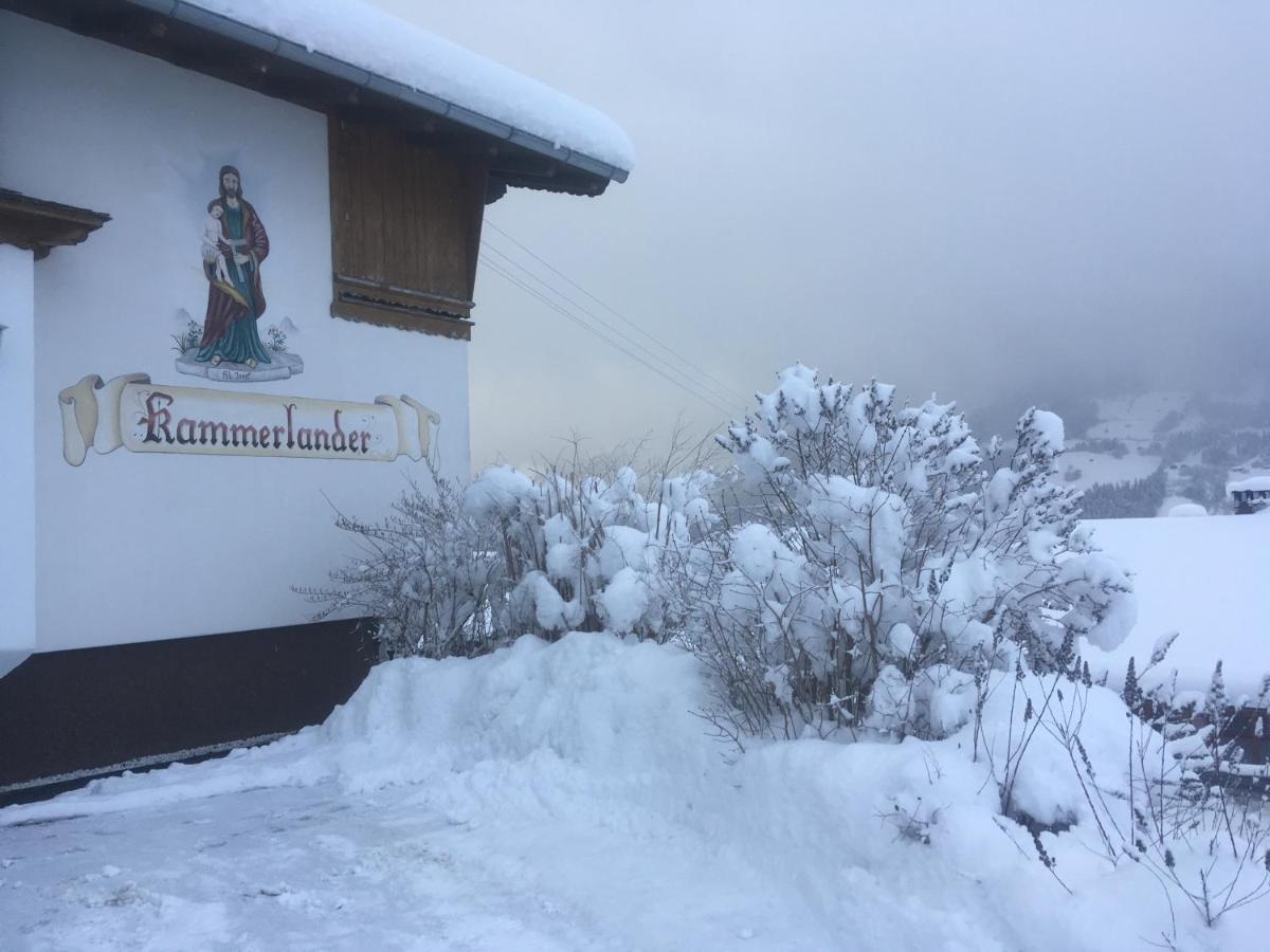 Haus Kammerlander Stummerberg エクステリア 写真